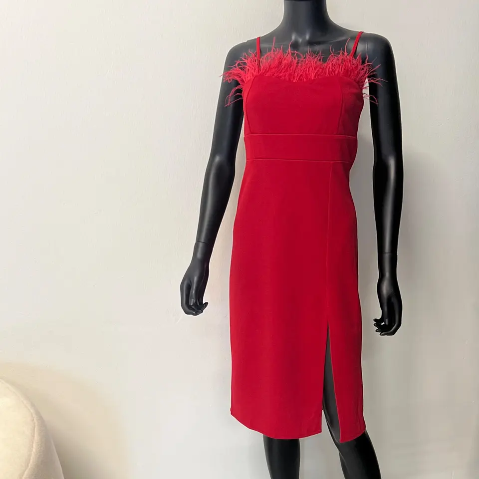FEATHER DRESS RED