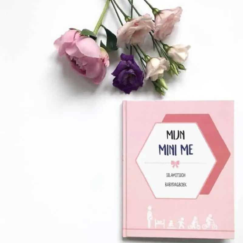 Mijn Mini Mi Dagboek Meisje